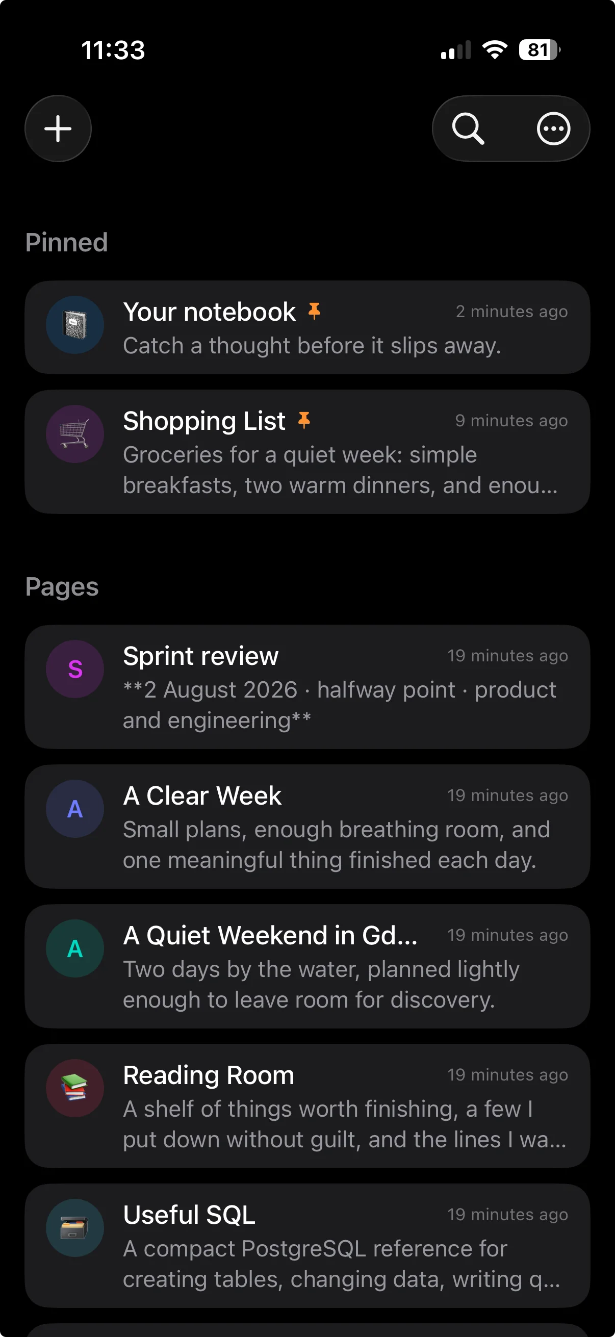 Kajet on iPhone showing pinned pages above the rest of the list, each with its first lines as a preview.